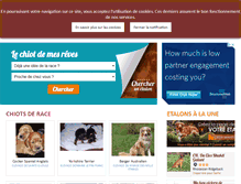 Tablet Screenshot of chien-de-france.com